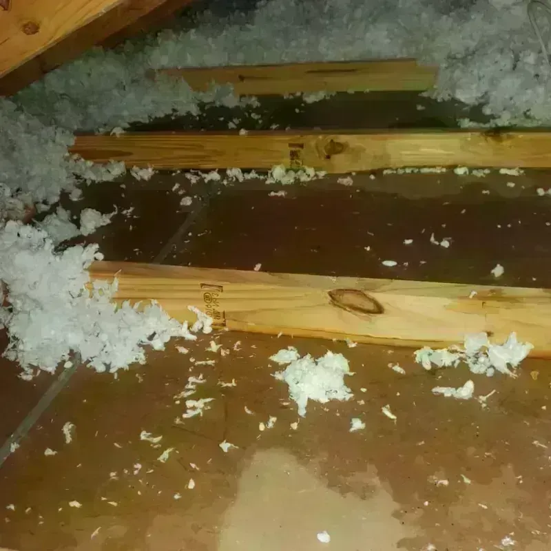 Attic Water Damage in Porter Heights, TX