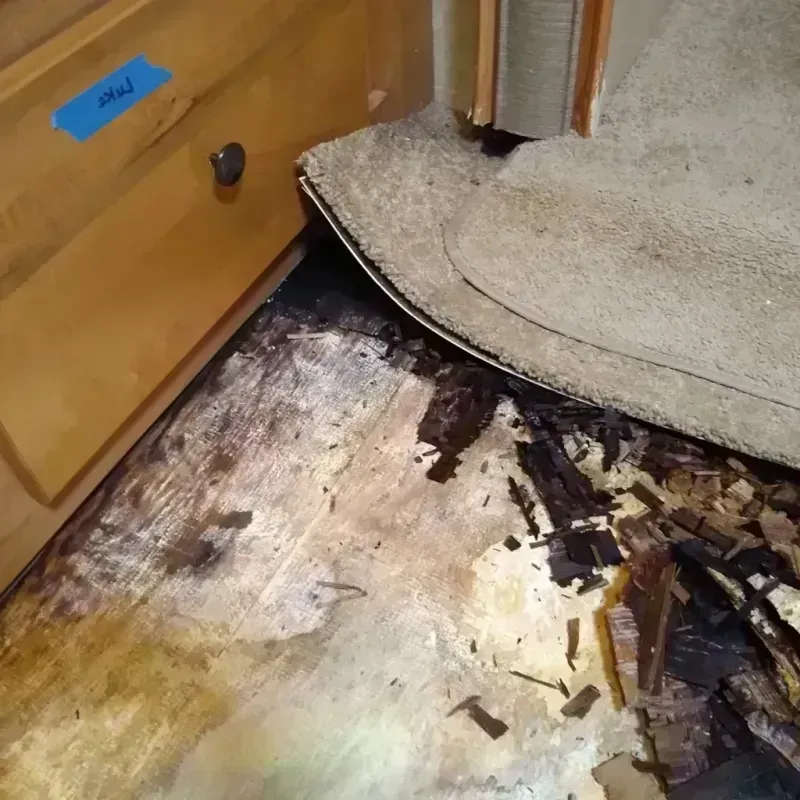 Wood Floor Water Damage in Porter Heights, TX